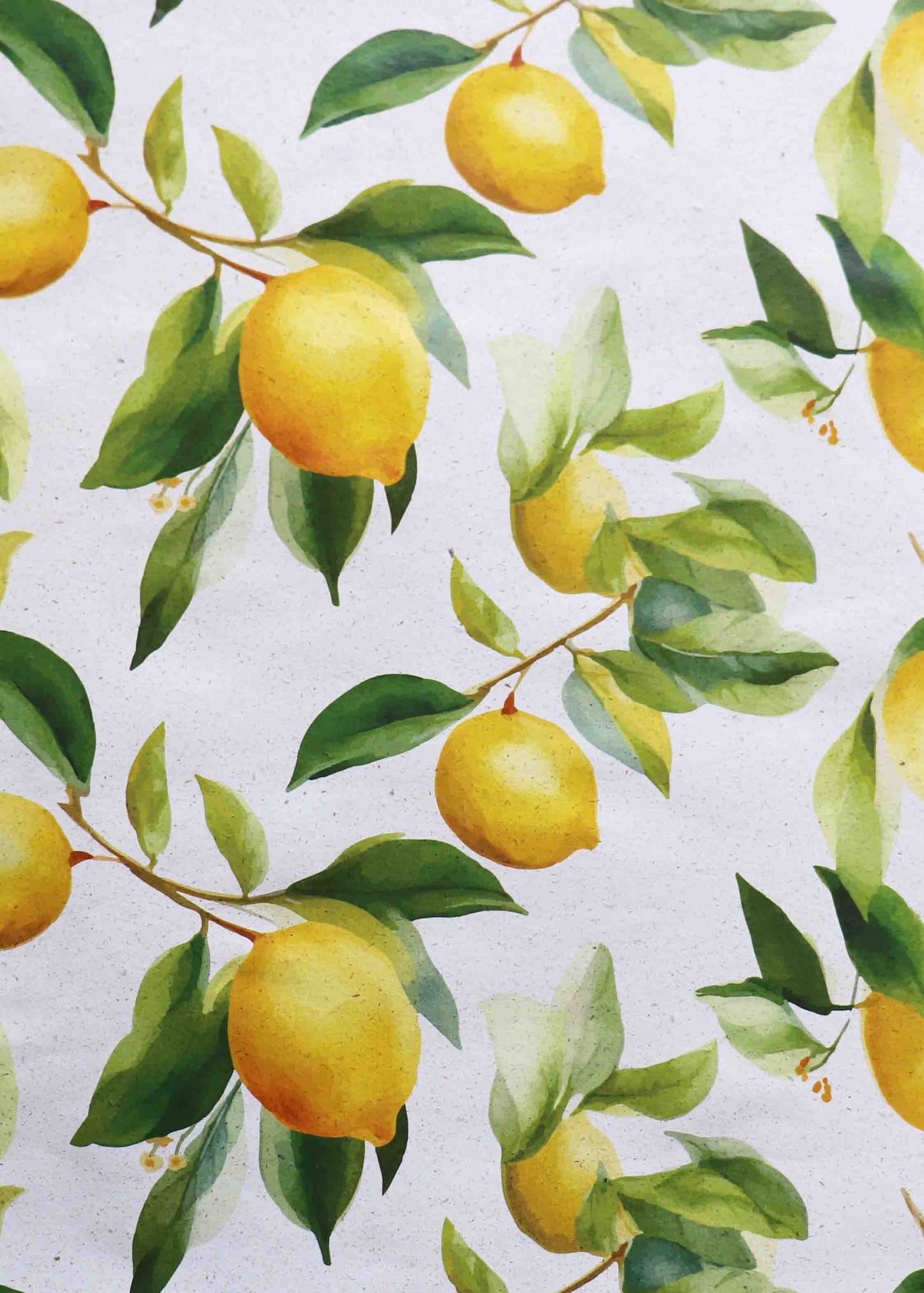 Geschenkpapier 500x700mm